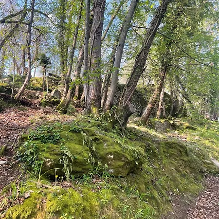 아파트 Sabrina Maison Chic Abbraccio Della Natura 카모글리