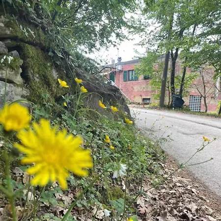 아파트 Sabrina Maison Chic Abbraccio Della Natura 카모글리